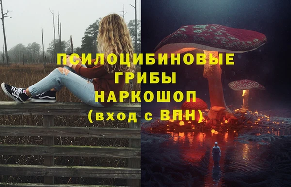 первитин Михайлов