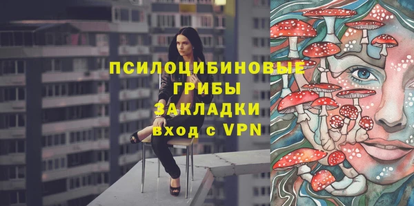 первитин Михайлов