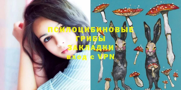 первитин Михайлов