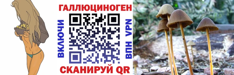 купить наркоту  Рассказово  Галлюциногенные грибы GOLDEN TEACHER 